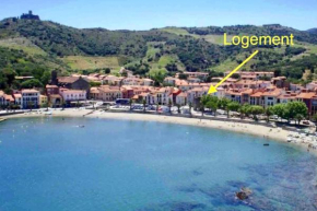  Appartement les pieds dans l'eau !  Коллиур